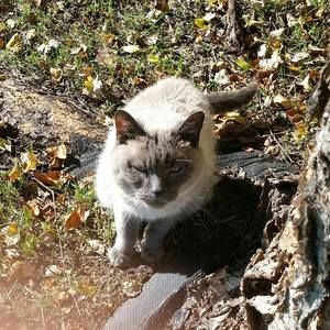 Meet your Posher, Diane